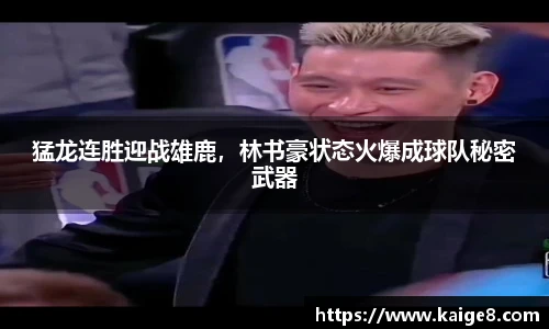 猛龙连胜迎战雄鹿，林书豪状态火爆成球队秘密武器