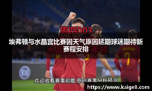 埃弗顿与水晶宫比赛因天气原因延期球迷期待新赛程安排