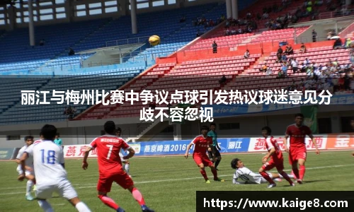 丽江与梅州比赛中争议点球引发热议球迷意见分歧不容忽视